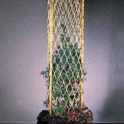 Cowlitz River Rigging Arborists & Tree Care 18" Tree Tubes